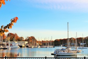 Partial View of Mamaroneck Harbor