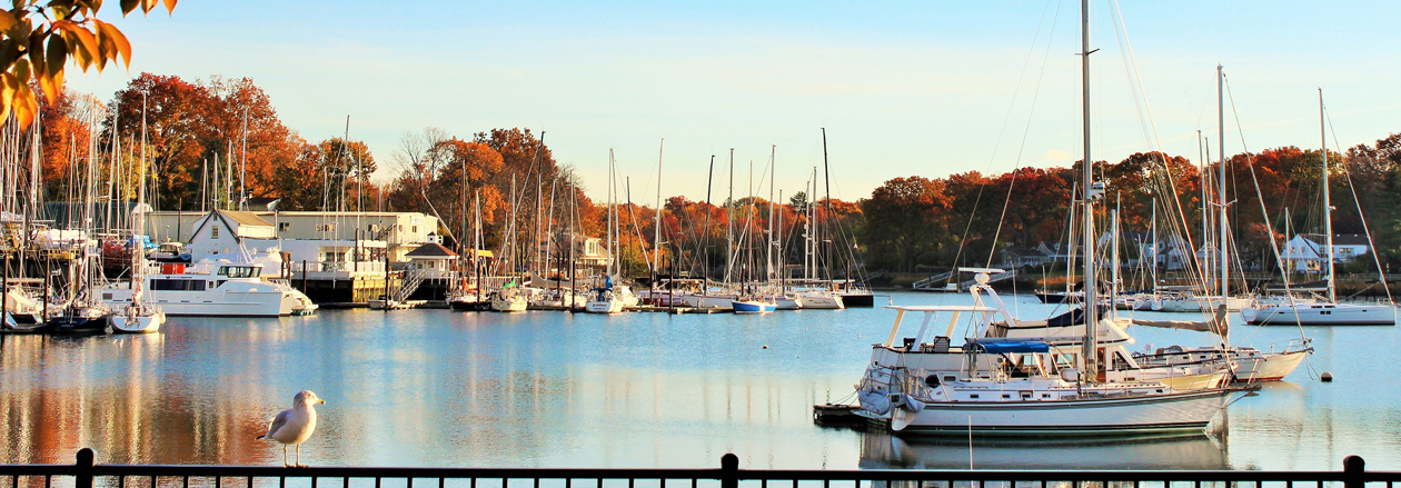 Westchester Marina - GioHomes Real Estate