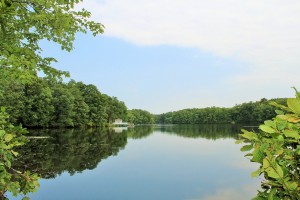 Blue Heron Lake