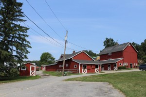 Echo Farm