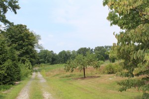 Local Farm