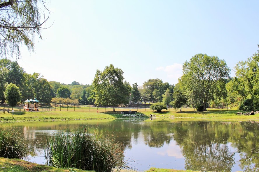  Leith's Pond and Carroll Park