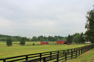 Stonewall Farms