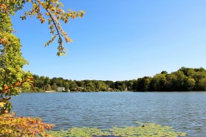 Lake Lincolndale