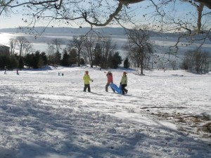 Photo courtesy of Rockefeller State Park Preserve https://www.facebook.com/RockefellerSPP/