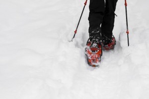 Snowshoeing