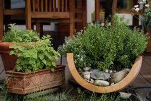 herb garden